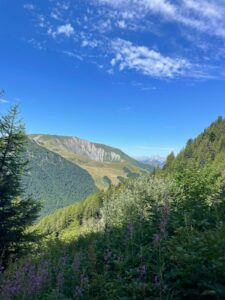 Lire la suite à propos de l’article Vivre l’UT4M : bien plus qu’une course, une aventure intérieure 🏔️🏃‍♀️