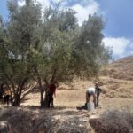 Un puit pour Amzi au Maroc : participez à notre projet solidaire 💧❤️