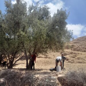 Un puit pour Amzi au Maroc : participez à notre projet solidaire 💧❤️