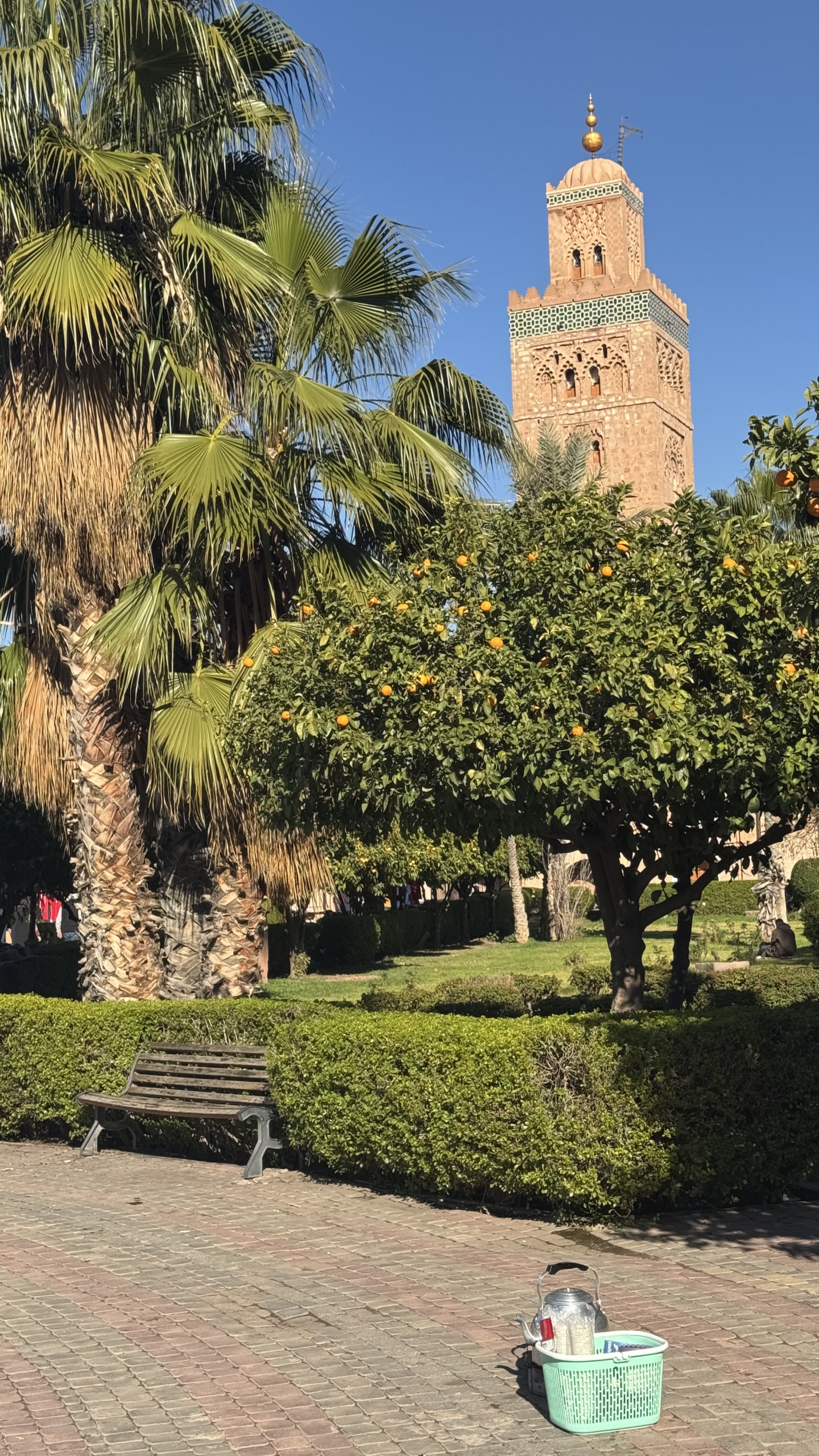 Lire la suite à propos de l’article Marrakech | Immersion au cœur de la médina 🇲🇦