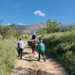 Immersion au cœur du village d&rsquo;Amzi