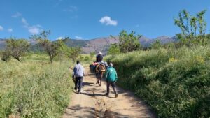 Immersion au cœur du village d&rsquo;Amzi